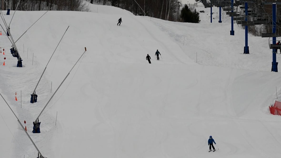 Businesses that rely on the snow are celebrating the recent weather [Video]