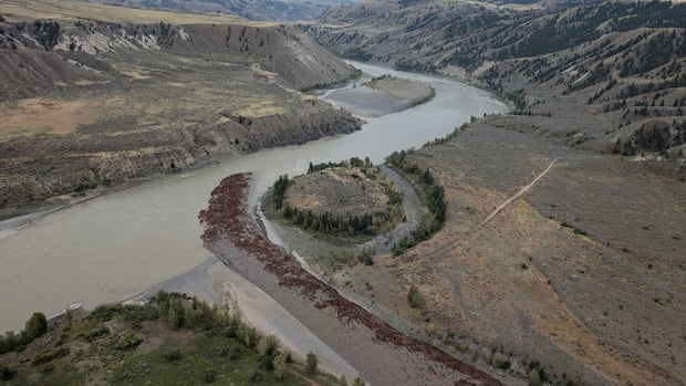 Tilhqot’in National Government calls for change to land, water management in wake of 2024 B.C. landslide [Video]