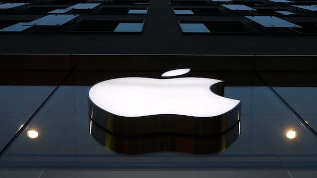 Apple shareholders say no to scrapping company’s diversity programs [Video]