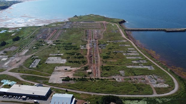 ‘It’s getting closer’: Confederation Bridge fabrication yard development key to P.E.I. town’s future [Video]