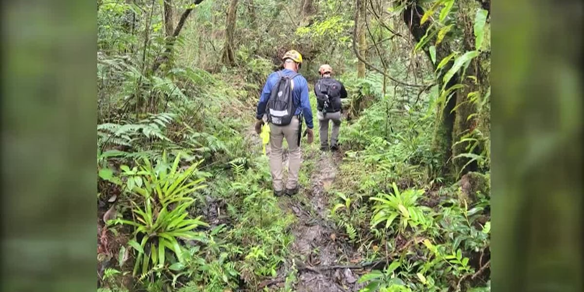 American man who went missing in Puerto Rican rainforest found alive [Video]