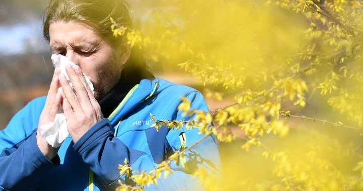 Allergy sufferers beware: B.C. to see intense pollen season [Video]