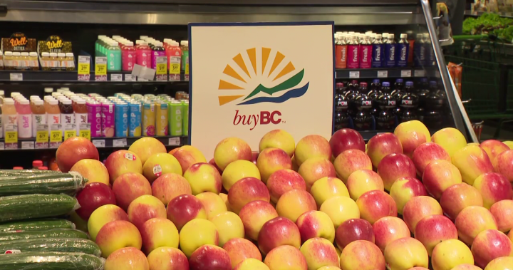 Province launching more Buy BC ads as Trump tariff threat looms [Video]