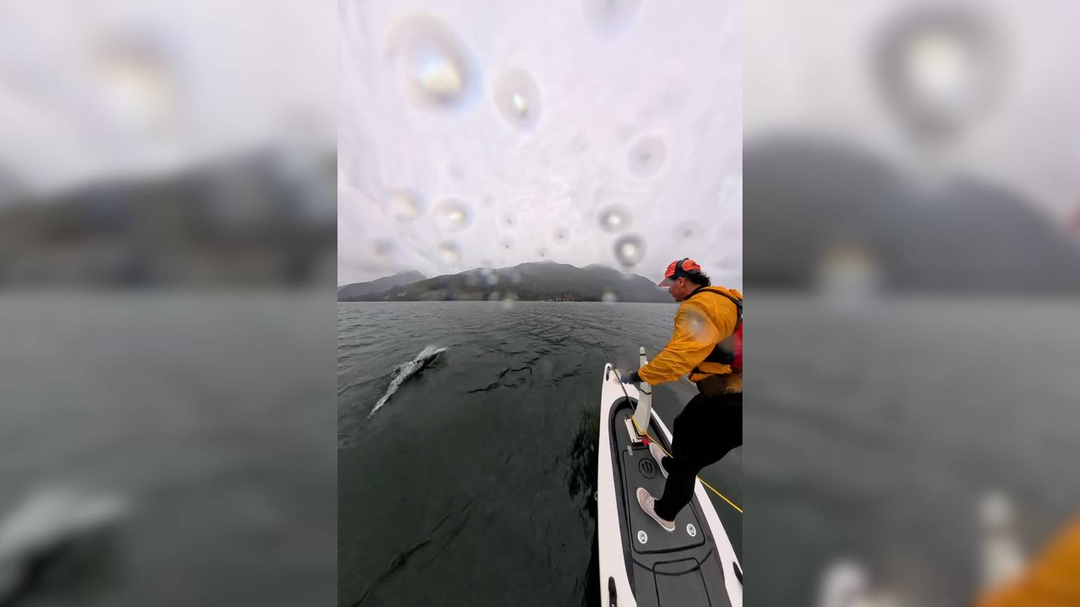 Video: B.C. man captures close encounter with dolphin pod on video [Video]