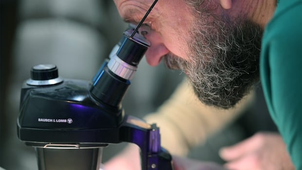 How a Yukon entomologist’s fascination with beetle genitalia inspired an art project [Video]