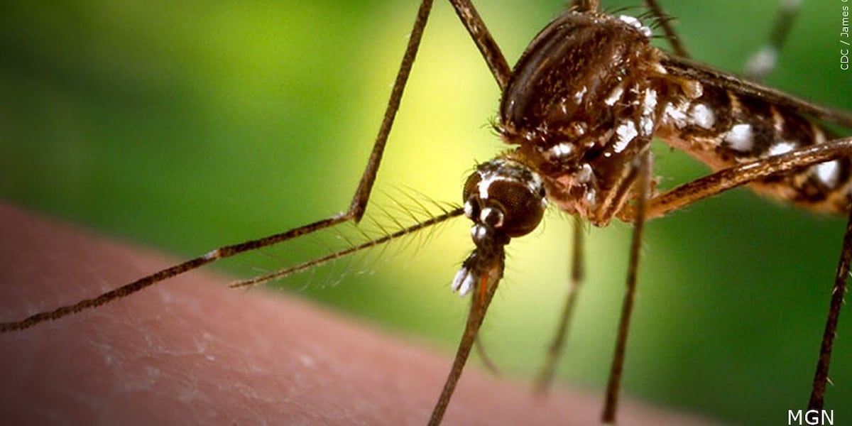 5 hospitalized with cardiac and neurological symptoms after getting chikungunya vaccine [Video]