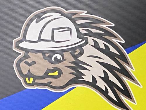 Edmonton Prospects rebrand themselves as Energy City Cactus Rats [Video]