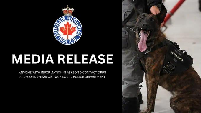 K9 the hero as police foil auto theft in Ajax, Ontario [Video]