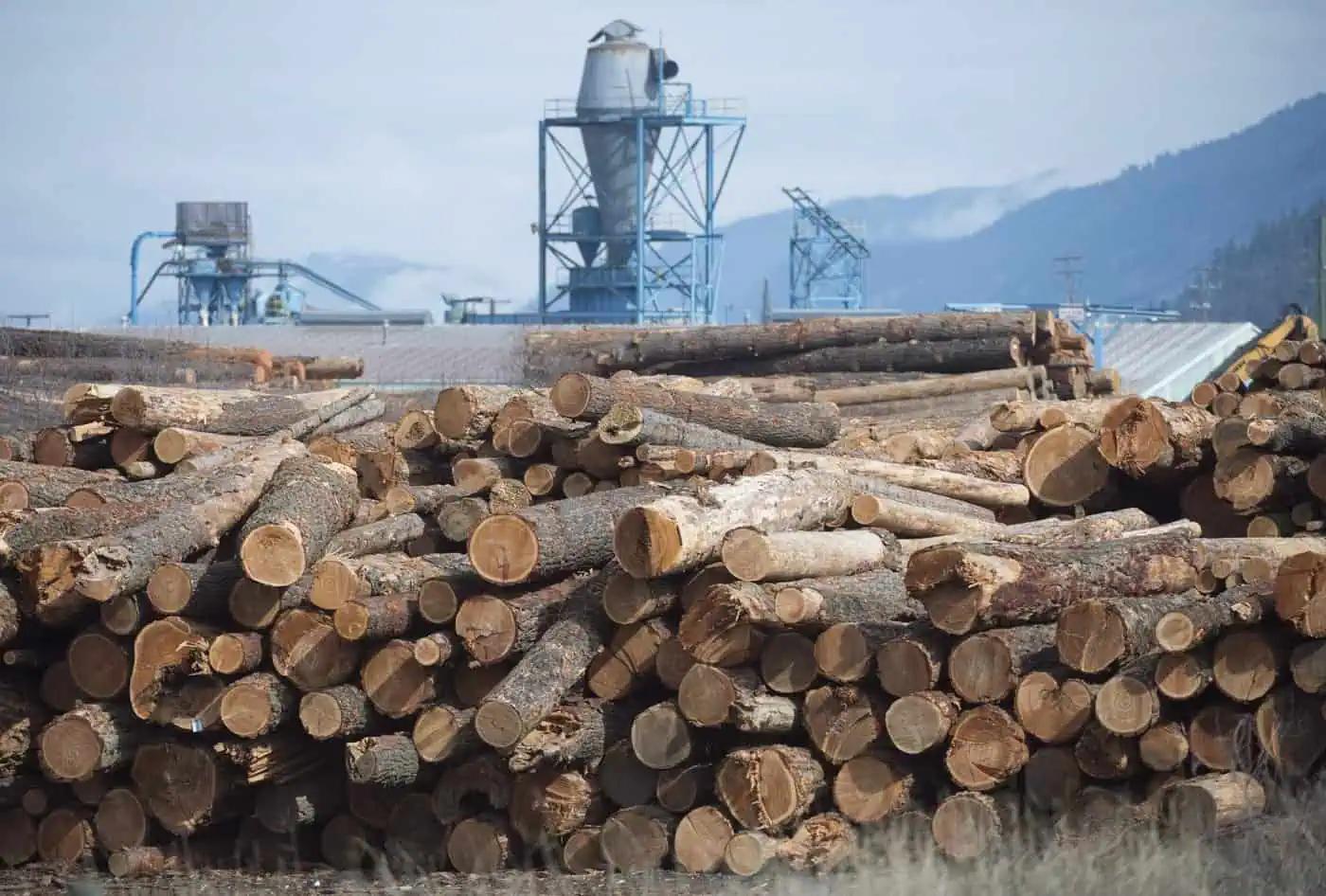 U.S. plans to nearly triple anti-dumping duty on Canadian softwood as tariffs loom [Video]