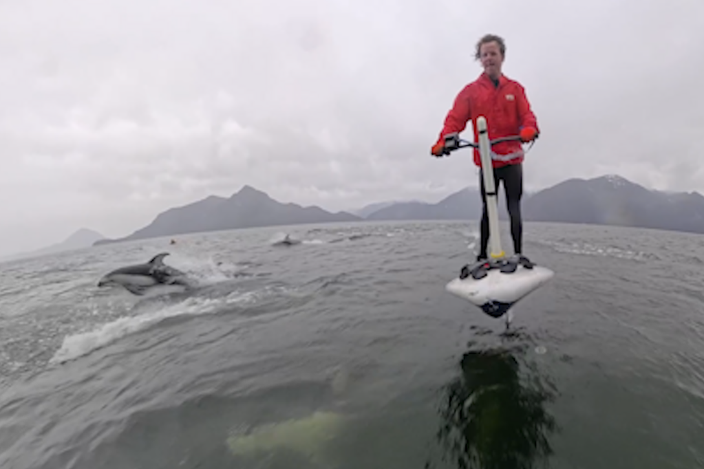 Hundreds of dolphins swim alongside shocked hydrofoil boarders (Video)