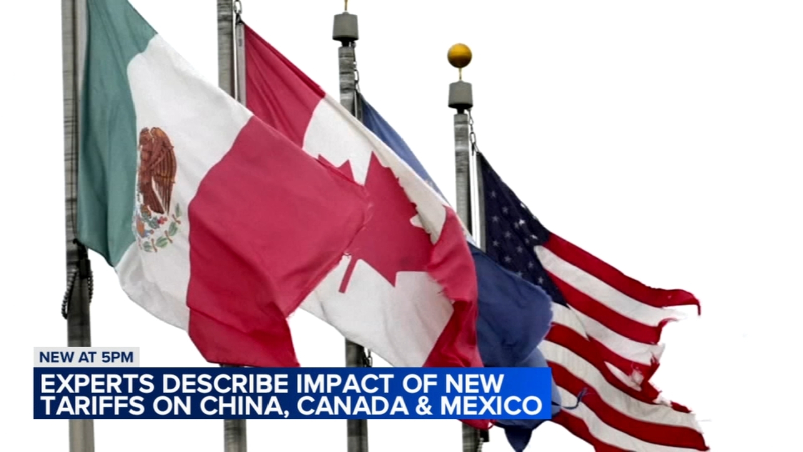 Why did Trump impose tariffs on Canada, Mexico and China? Experts discuss reasoning behind tariffs expected to increase prices [Video]