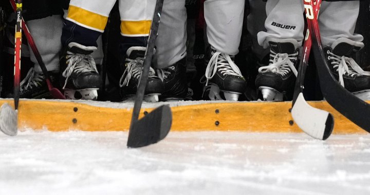 Ontario coach charged after violent outburst over call during kids hockey game [Video]