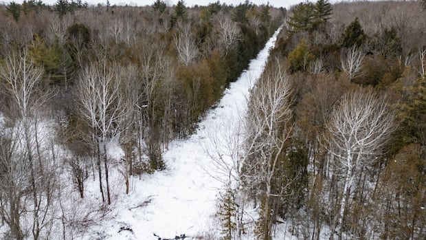 RCMP rescue parents and their 2 toddlers found 