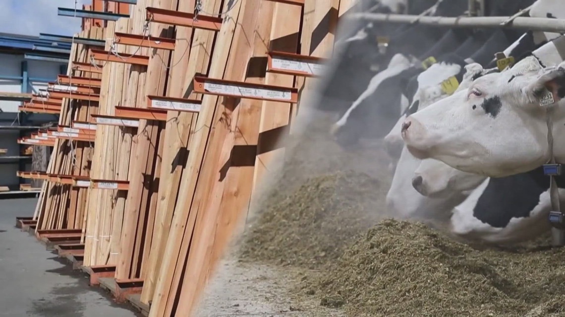 Trade war wages in Canada: Lumbar and dairy [Video]