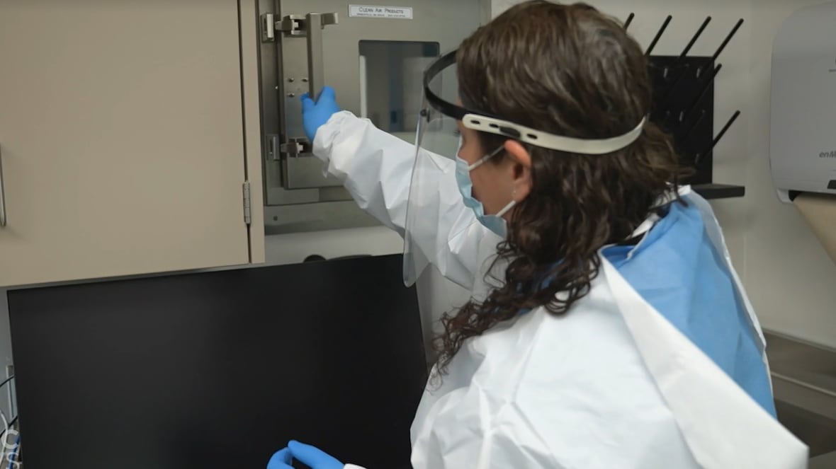 High-tech new lab at vet college will help protect scientists testing for animal diseases [Video]