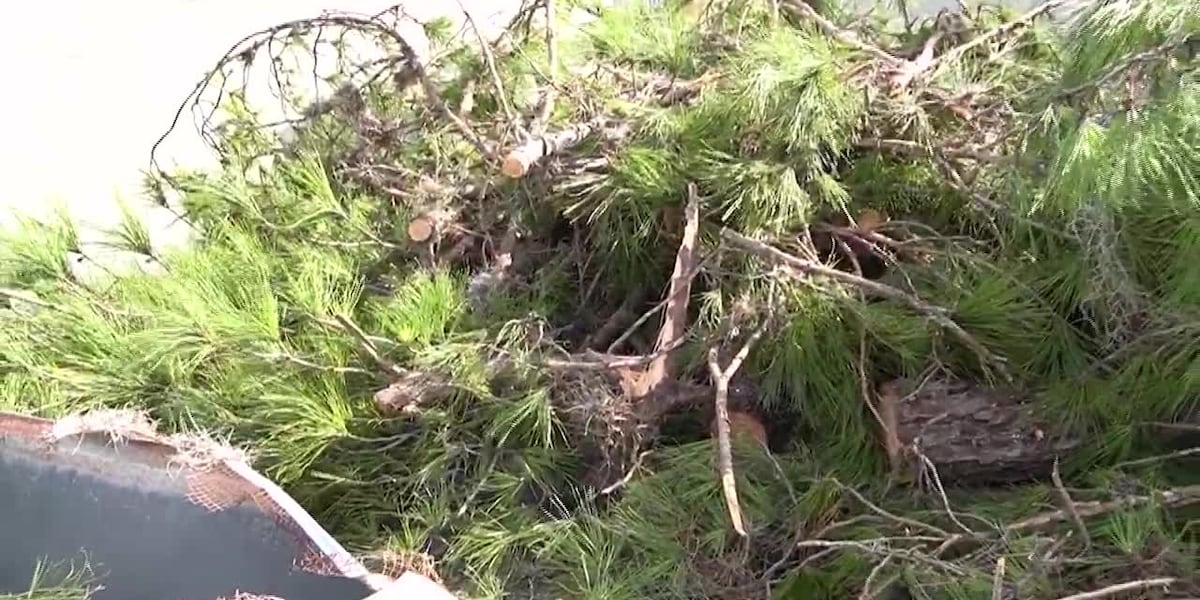 Tornado destruction in Seminole County, Florida [Video]