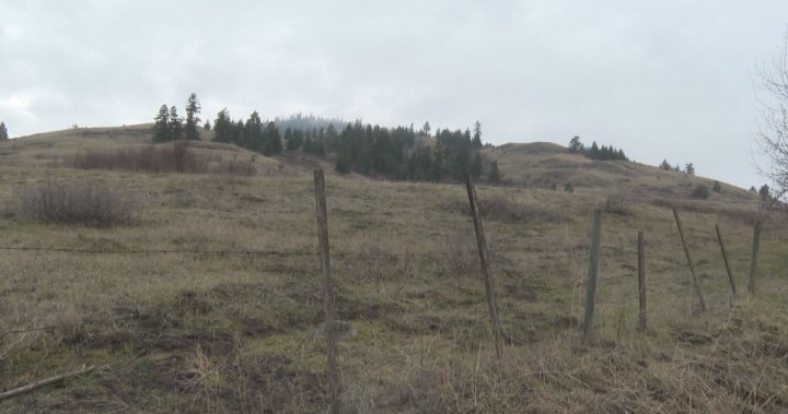 Development proposed for North Okanagan grasslands – Okanagan [Video]