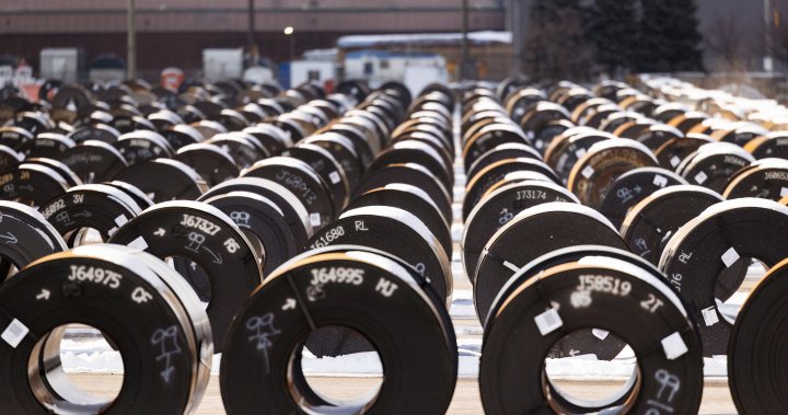 Donald Trumps tariffs have Saskatchewan steelworkers calling for action [Video]