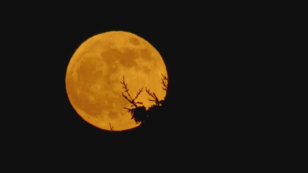 ‘Blood moon’ total lunar eclipse to light up P.E.I. sky tonight [Video]