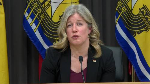 Premier Holt says she will not limit Maines access to N.B. power, for now [Video]