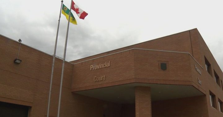 Driver in fatal collision near Dundurn sentenced to 6 years in jail [Video]