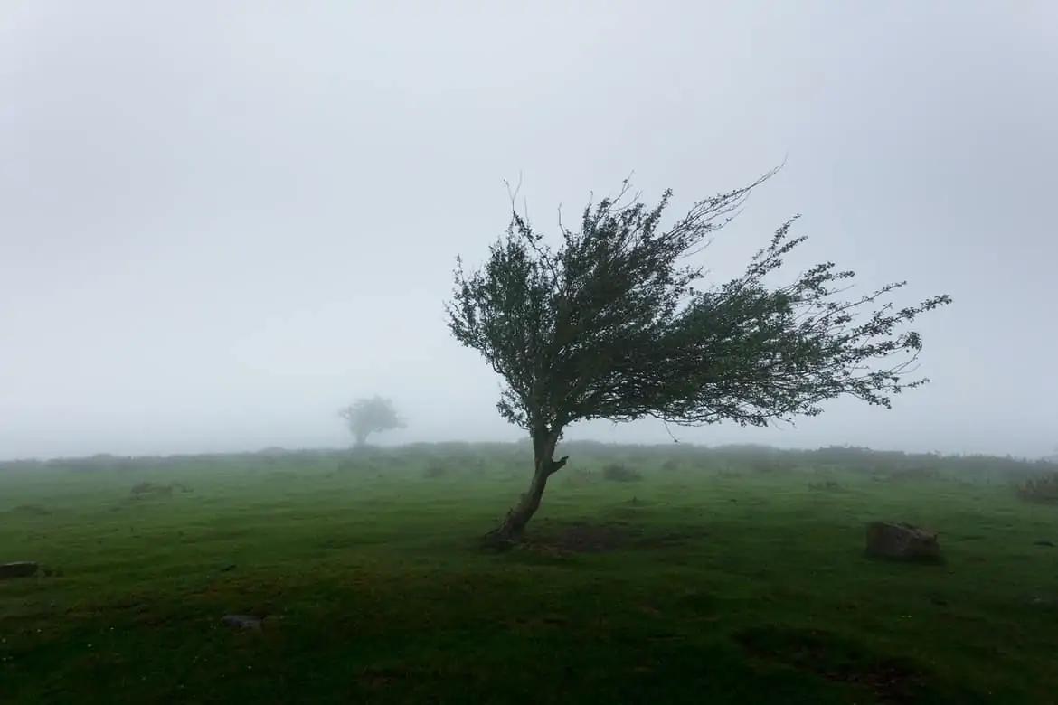 STORM WARNING: 80 km winds and 20 mm of rain to hit southern Ontario and the GTA [Video]