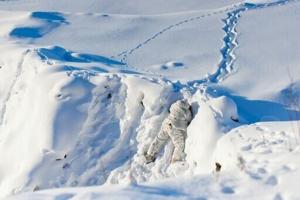 Canada PM Carney announces deal with Australia to boost Arctic radar [Video]