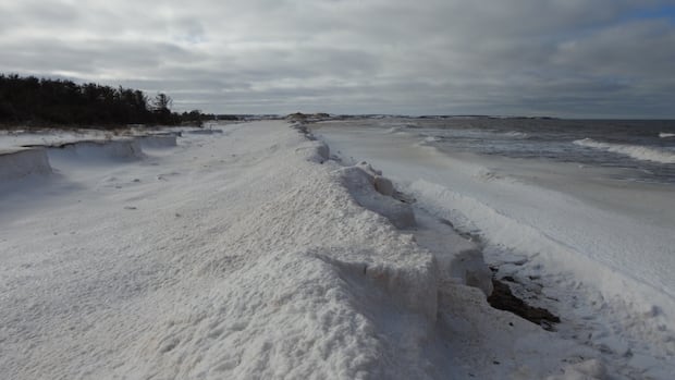 How changing winter ice conditions around P.E.I. are letting the sea eat into its shores [Video]