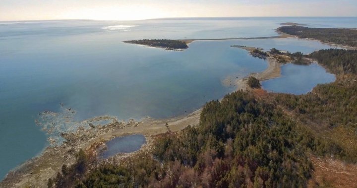 Lack of consent stalls plans for North Americas first whale sanctuary in Nova Scotia – Halifax [Video]