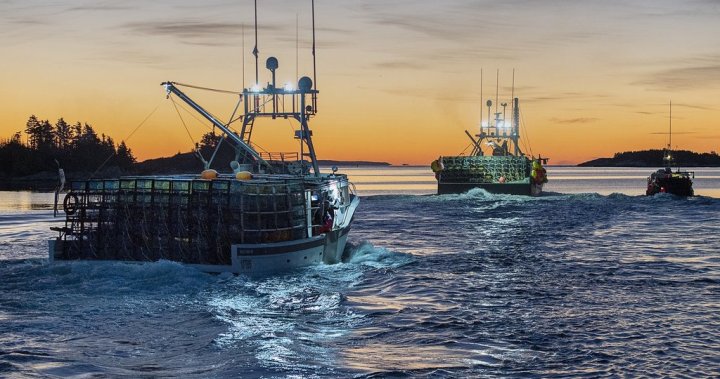 Nova Scotia says immediate effect of China seafood tariff remains unclear – Halifax [Video]