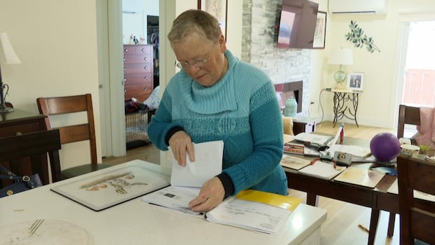 With province’s solar rebates going dark, P.E.I. customers and installers left ‘in limbo’ [Video]