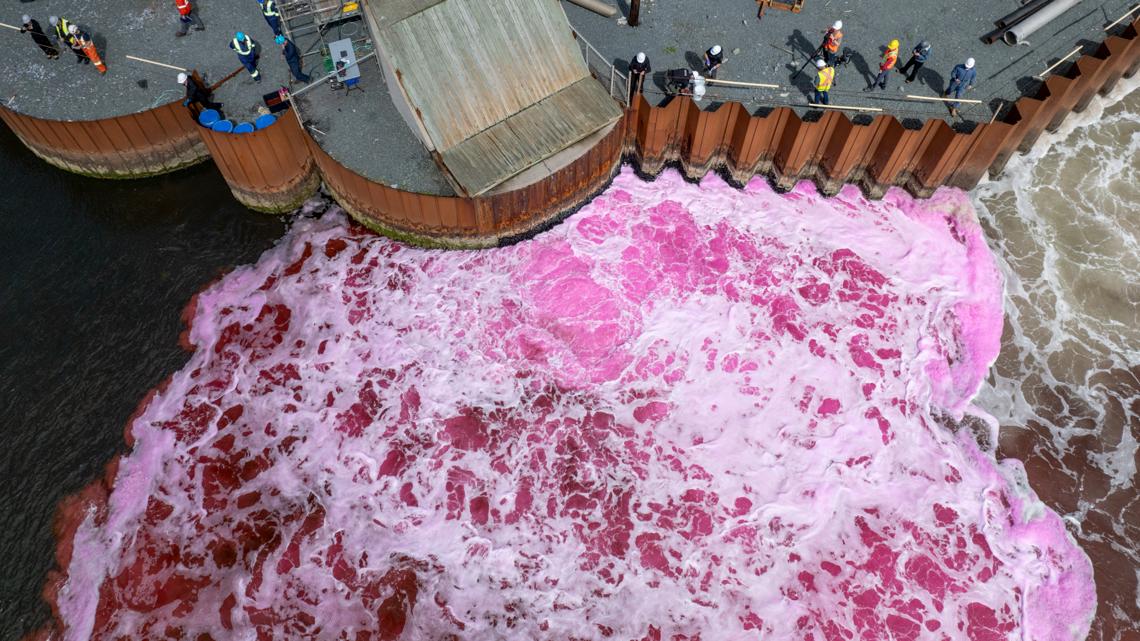 Startup dumps magnesium into the ocean in bid to ease global warming [Video]