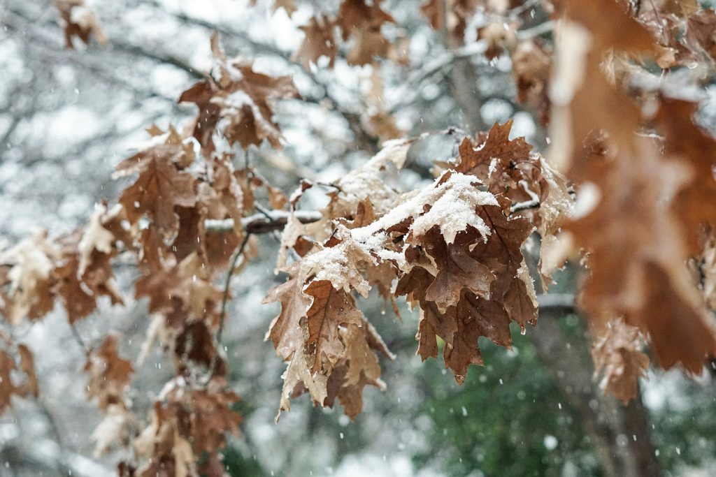 March 22 weather: Rain and flurries expected in southern Ontario [Video]