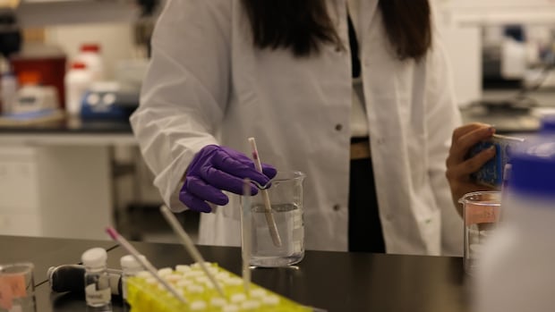 Stir stick that detects spiked drinks developed by UBC researchers [Video]