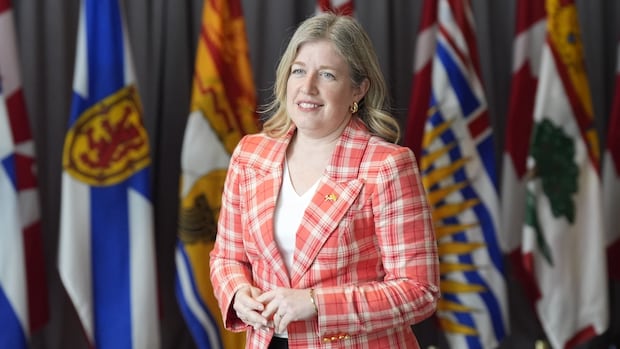 Canada expecting smaller hit from Trump’s global tariffs, says N.B. premier after meeting PM [Video]