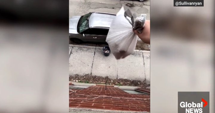 Canadian man attracts millions online with viral garbage toss – Montreal [Video]