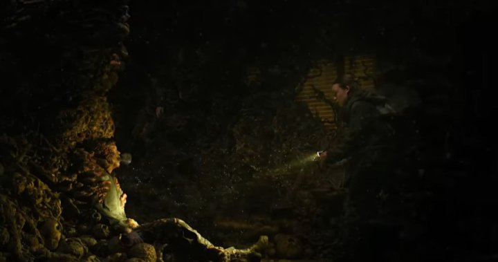 The Last of Us season 2 more grounded in reality than you might think, researchers say [Video]