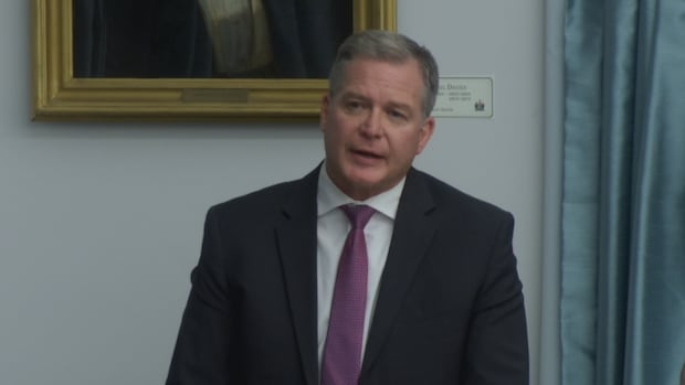 Province moving ahead with plan to add more long-term care beds, health minister says [Video]