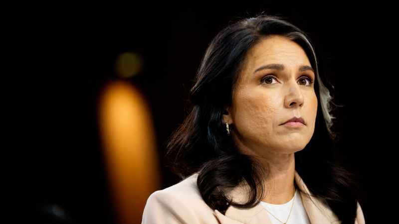Tulsi Gabbards voting record raises questions [Video]