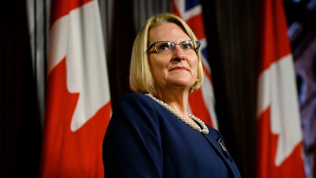 Ontario seeking primary care teams for 300,000 patients in plan to match people with doctors [Video]