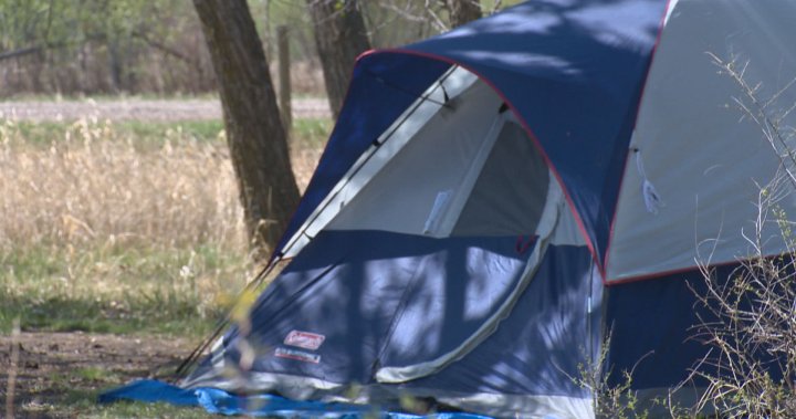 Manitobans expecting local tourism boom this summer – Winnipeg [Video]
