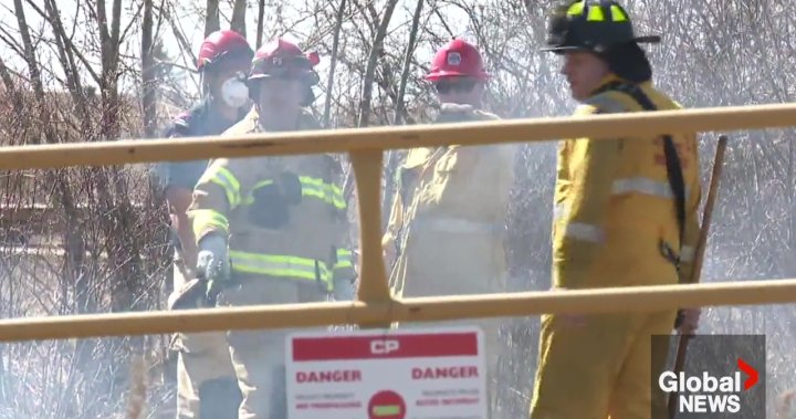 Fire advisories popping up in Alberta as Edmonton firefighters respond to more blazes – Edmonton [Video]