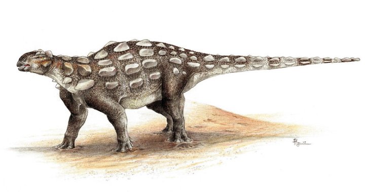 3-toed dinosaur footprint found in B.C. leads to discovery of new species [Video]