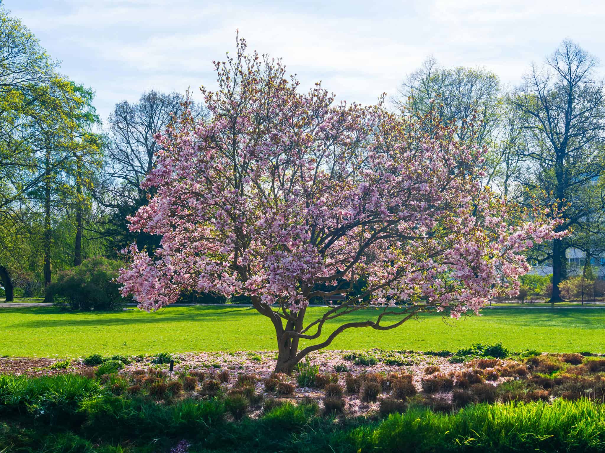 Temperature could hit 24 C this week in southern Ontario [Video]