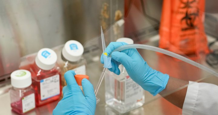 Ford government boosts STEM funding at struggling Ontario post-secondary schools [Video]