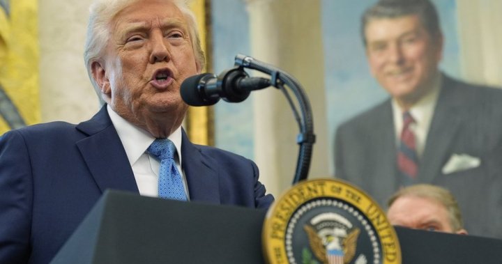 U.S.-China trade war not sustainable, Trumps treasury secretary says – National [Video]