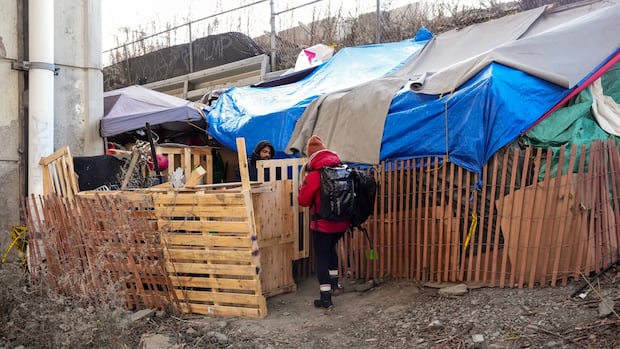 Poilievre promises to let police dismantle encampments, arrest occupants [Video]