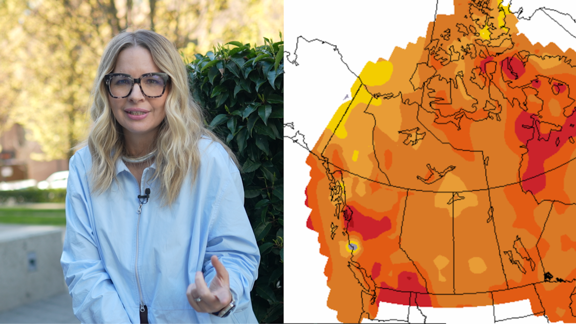 Wildcard summer ahead? Why this forecast is so uncertain [Video]
