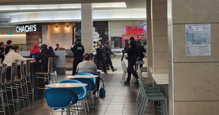 Teen arrested in armed incident at Winnipeg mall – Winnipeg [Video]