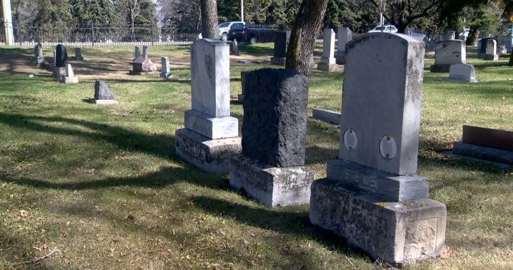 Edmonton police continue search for missing First World War memorial plaques [Video]